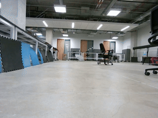 Demo GIF